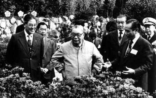 李登辉|蒋经国为何错选李登辉当接班人？