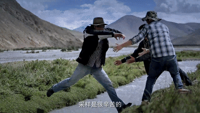 钟扬|一年飞行167次！这位教授的信念点燃无数人