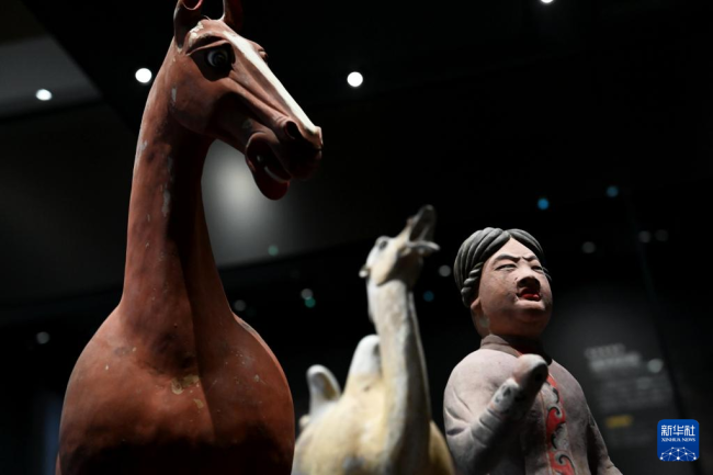 博物馆|探寻历史 感知未来——探访首座考古学科专题博物馆