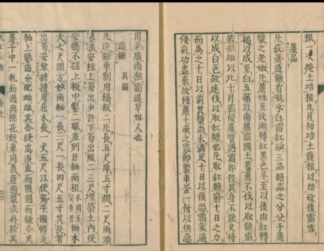 大唐西域记|听玄奘讲述桃与梨的故事，古代物产与技术的交流