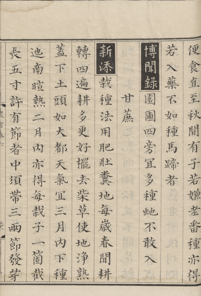 大唐西域记|听玄奘讲述桃与梨的故事，古代物产与技术的交流